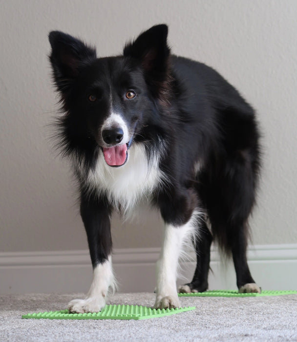 FitPaws TRAX Targets (Set of 2)