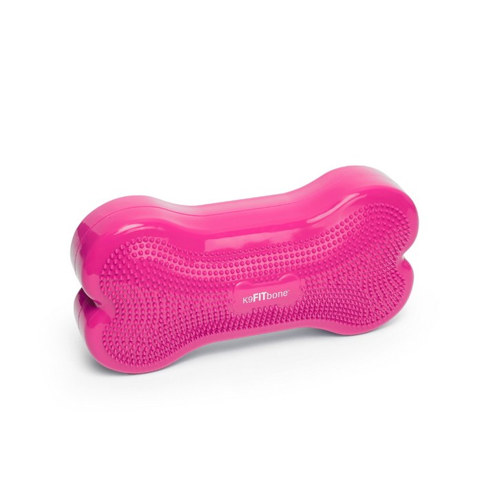 Regular K9FITbone Dog Balance Training Platform