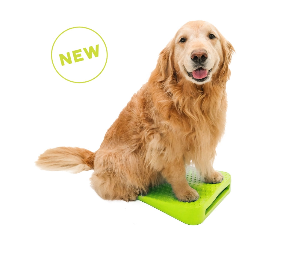 FitPaws Balance Ramp — Paw Prosper