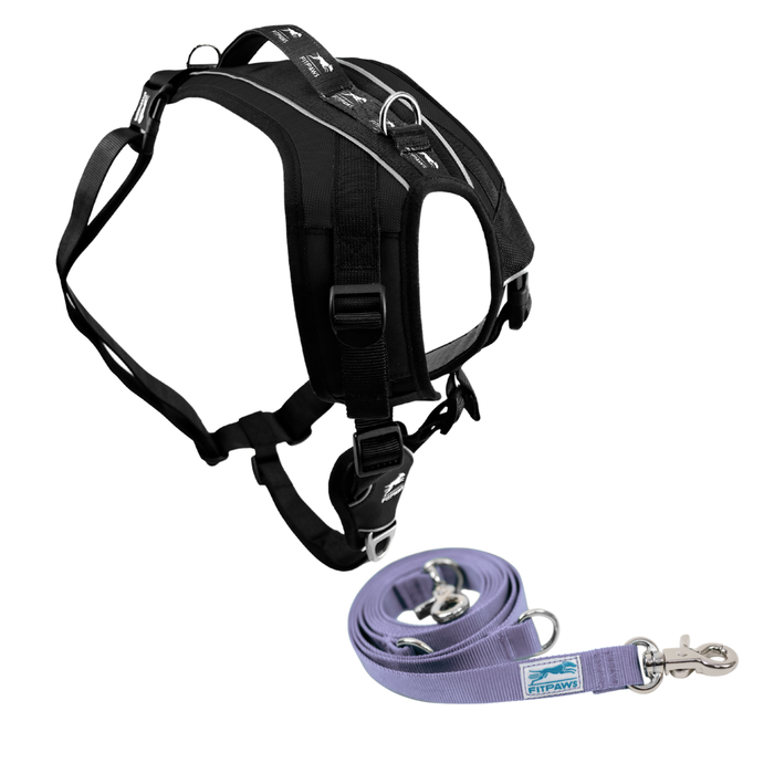 FITPAWS MADE TO MOVE HARNESS AND LEASH BUNDLE