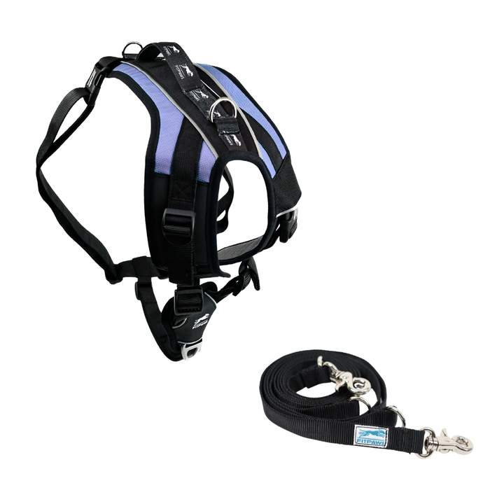 FITPAWS MADE TO MOVE HARNESS AND LEASH BUNDLE