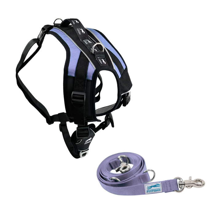 FITPAWS MADE TO MOVE HARNESS AND LEASH BUNDLE