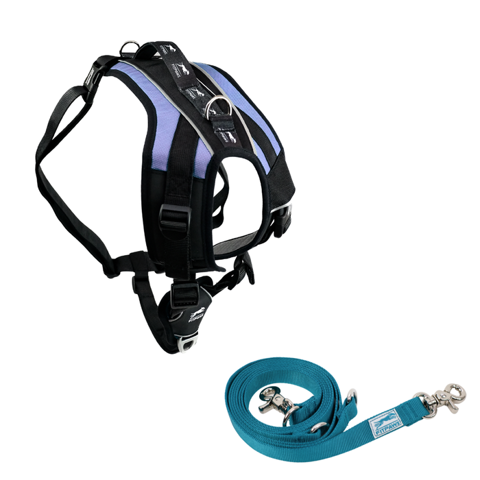 FITPAWS MADE TO MOVE HARNESS AND LEASH BUNDLE