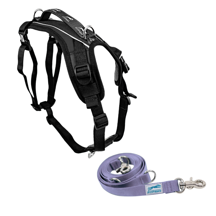FITPAWS MADE TO MOVE HARNESS AND LEASH BUNDLE