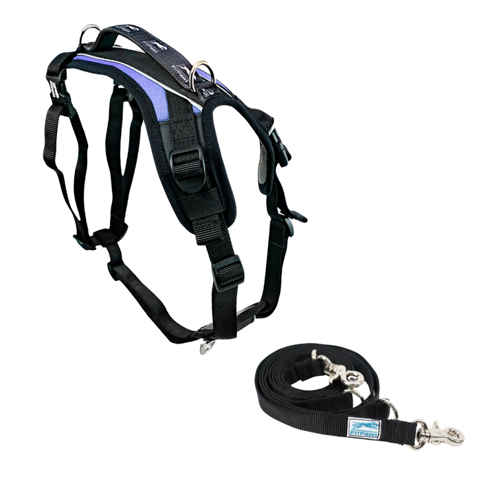 FITPAWS MADE TO MOVE HARNESS AND LEASH BUNDLE