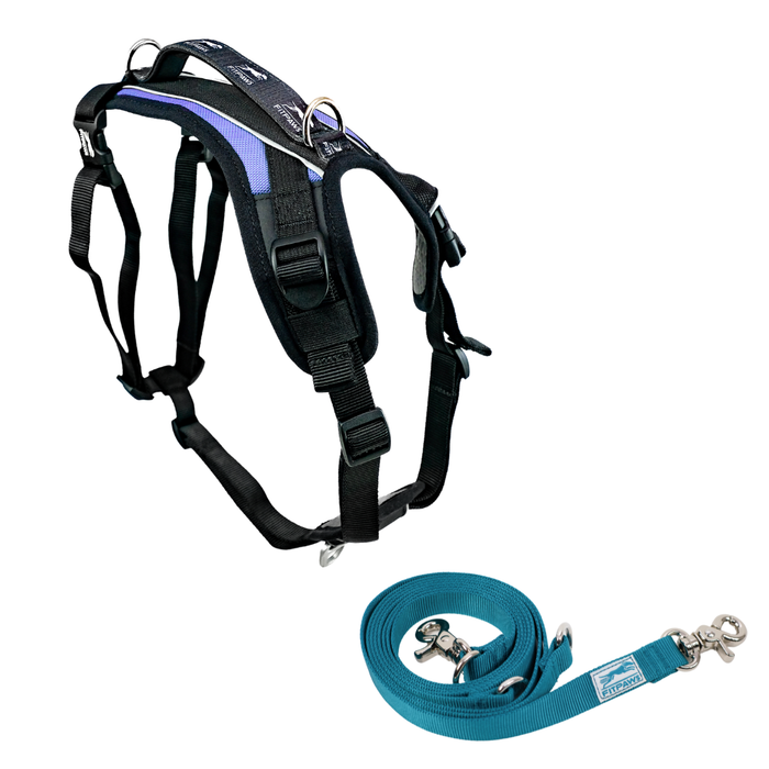 FITPAWS MADE TO MOVE HARNESS AND LEASH BUNDLE