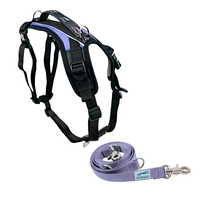 FITPAWS MADE TO MOVE HARNESS AND LEASH BUNDLE
