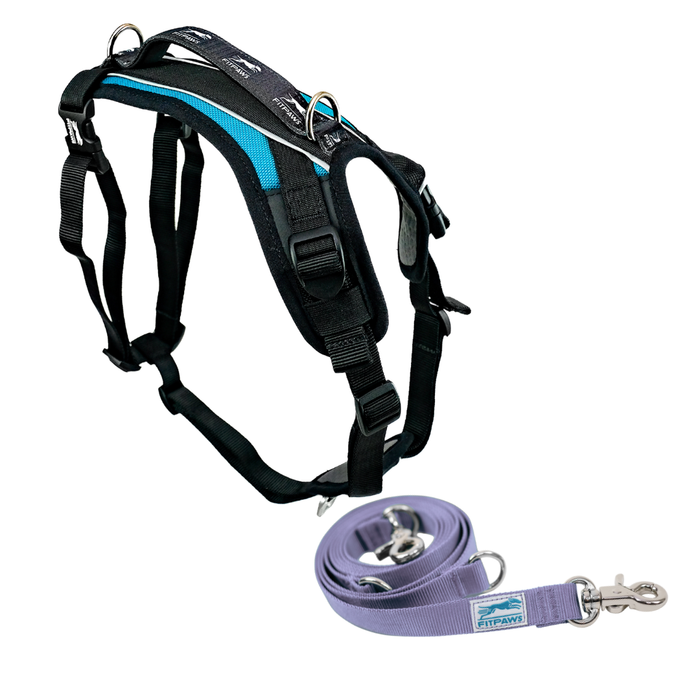 FITPAWS MADE TO MOVE HARNESS AND LEASH BUNDLE