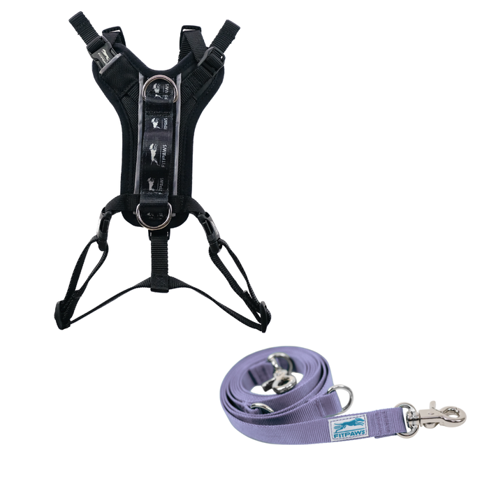 FITPAWS MADE TO MOVE HARNESS AND LEASH BUNDLE