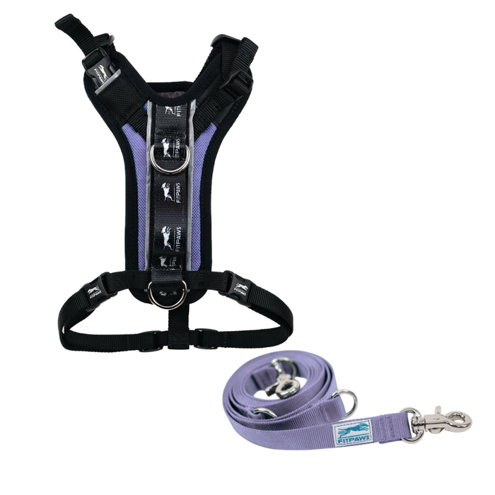 FITPAWS MADE TO MOVE HARNESS AND LEASH BUNDLE