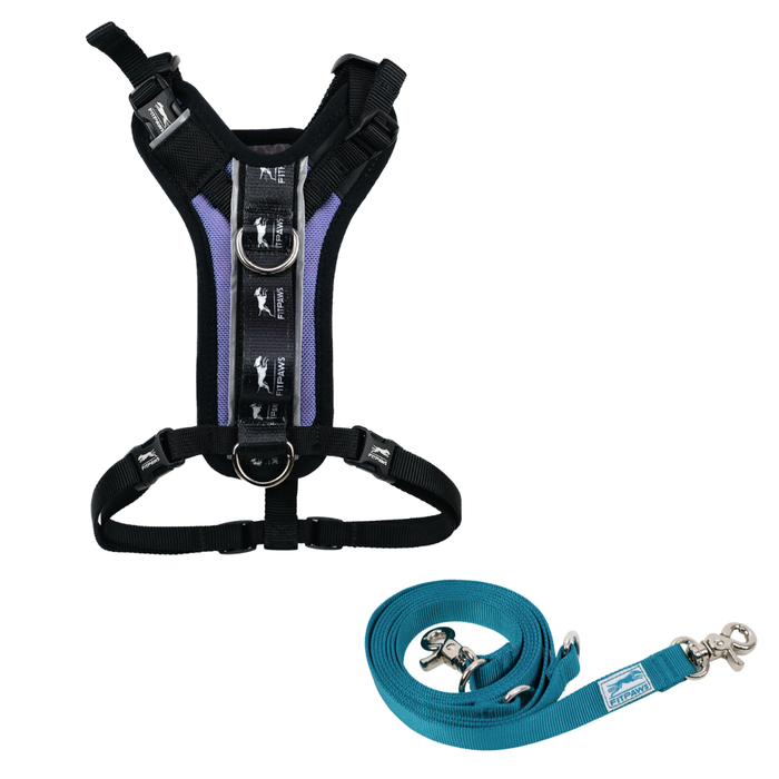FITPAWS MADE TO MOVE HARNESS AND LEASH BUNDLE