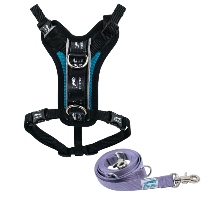 FITPAWS MADE TO MOVE HARNESS AND LEASH BUNDLE