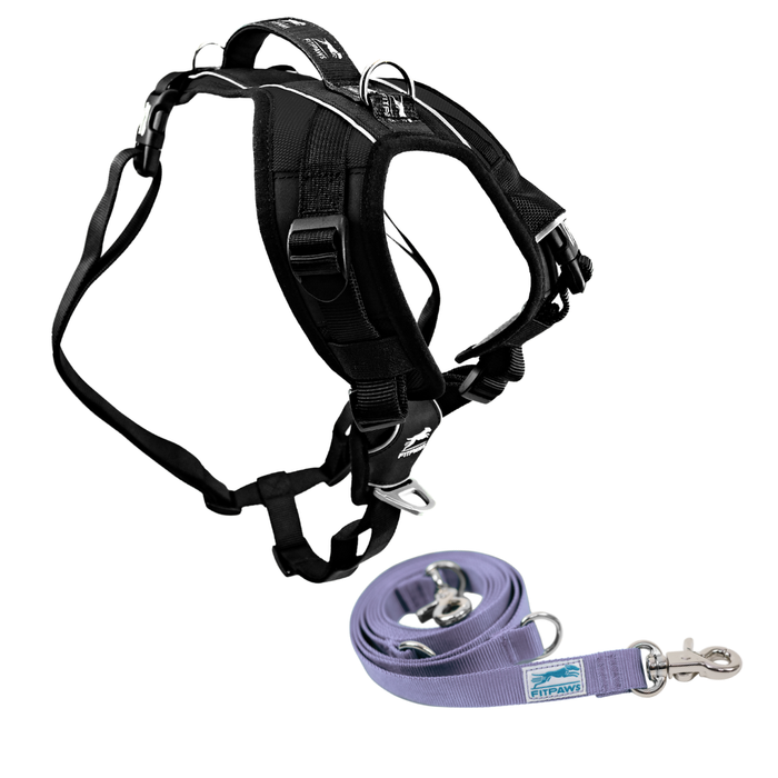 FITPAWS MADE TO MOVE HARNESS AND LEASH BUNDLE