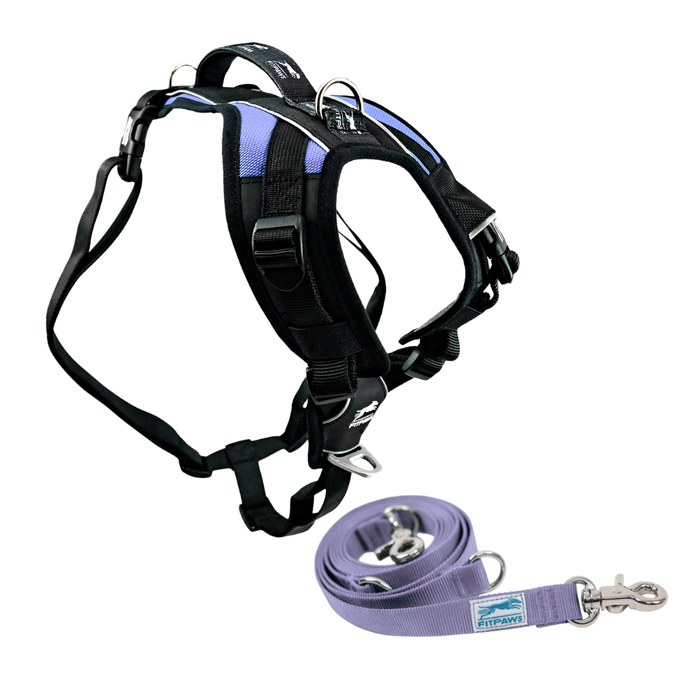 FITPAWS MADE TO MOVE HARNESS AND LEASH BUNDLE