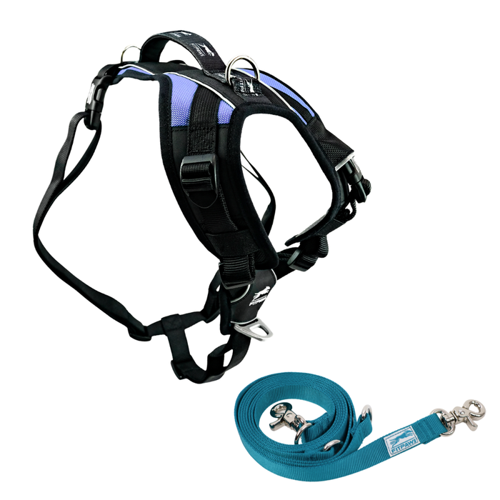 FITPAWS MADE TO MOVE HARNESS AND LEASH BUNDLE