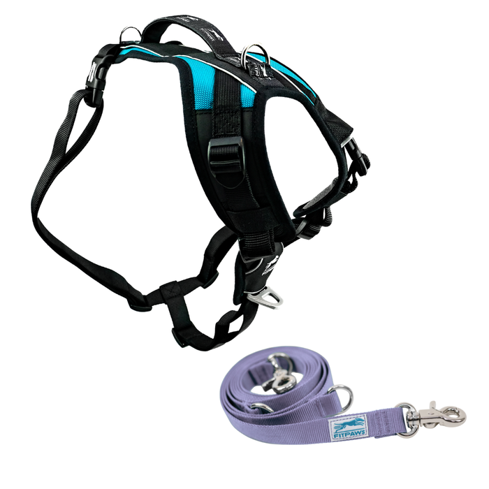 FITPAWS MADE TO MOVE HARNESS AND LEASH BUNDLE