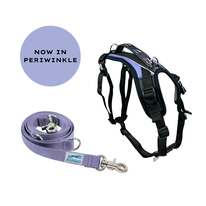 FITPAWS MADE TO MOVE HARNESS AND LEASH BUNDLE
