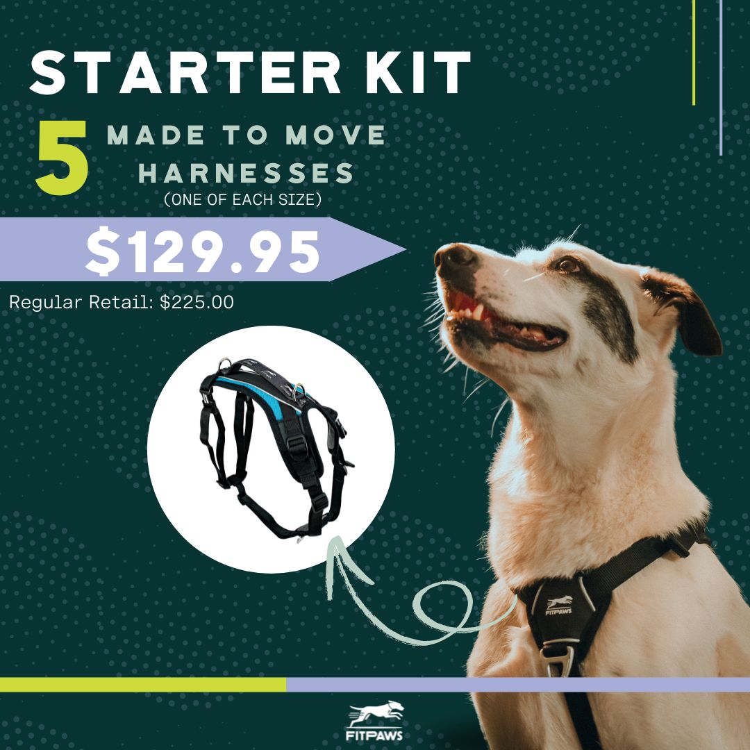 FitPaws® Made to Move Harness - Starter Kit — Paw Prosper