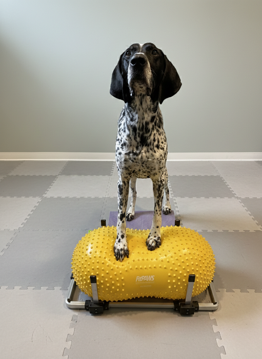 FitPaws Product Stabilizer & TRAX Peanut  Bundle
