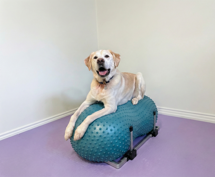 FitPaws Product Stabilizer