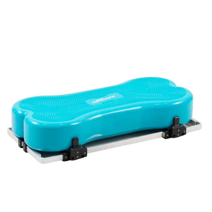 FitPaws Product Stabilizer & Giant K9FitBone Bundle