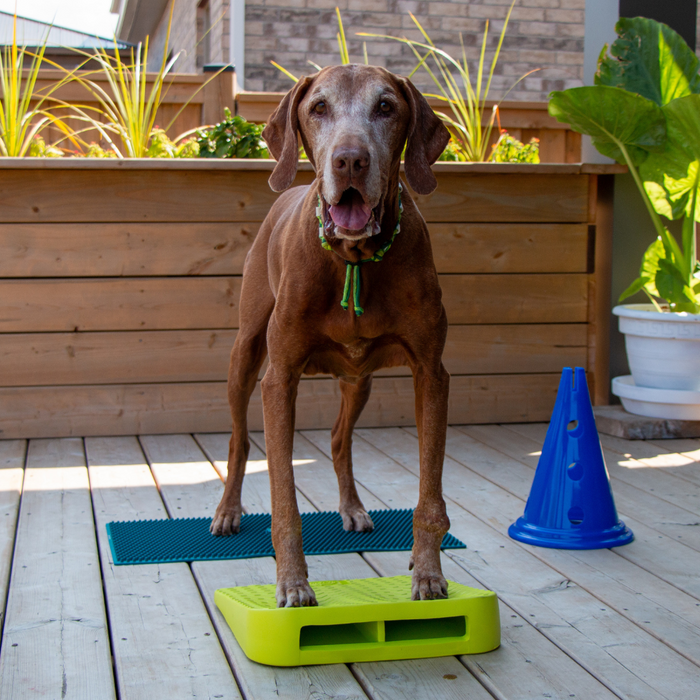 FitPaws Balance Ramp
