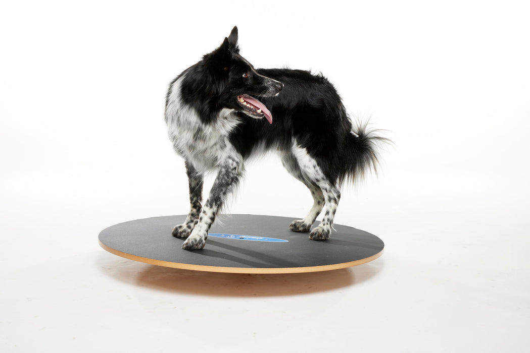 FitPaws Wobble Board, Dog Balance Training Platform (multiple sizes)