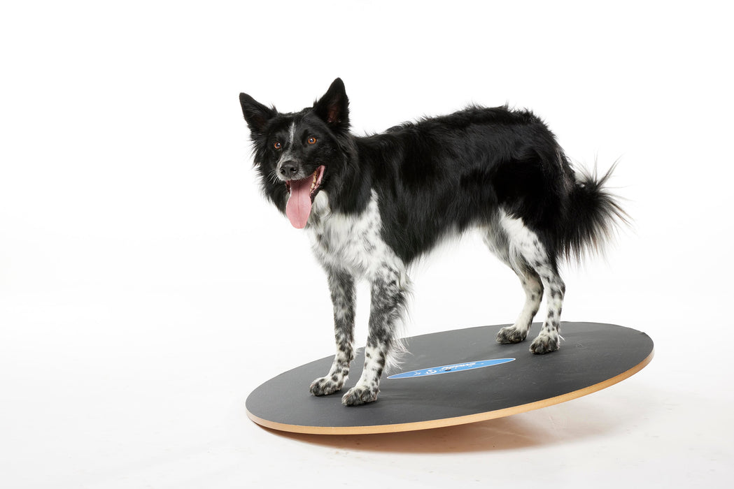 FitPaws Wobble Board, Dog Balance Training Platform (multiple sizes)