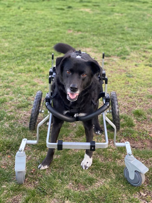 Wheelchair Front Support Kit