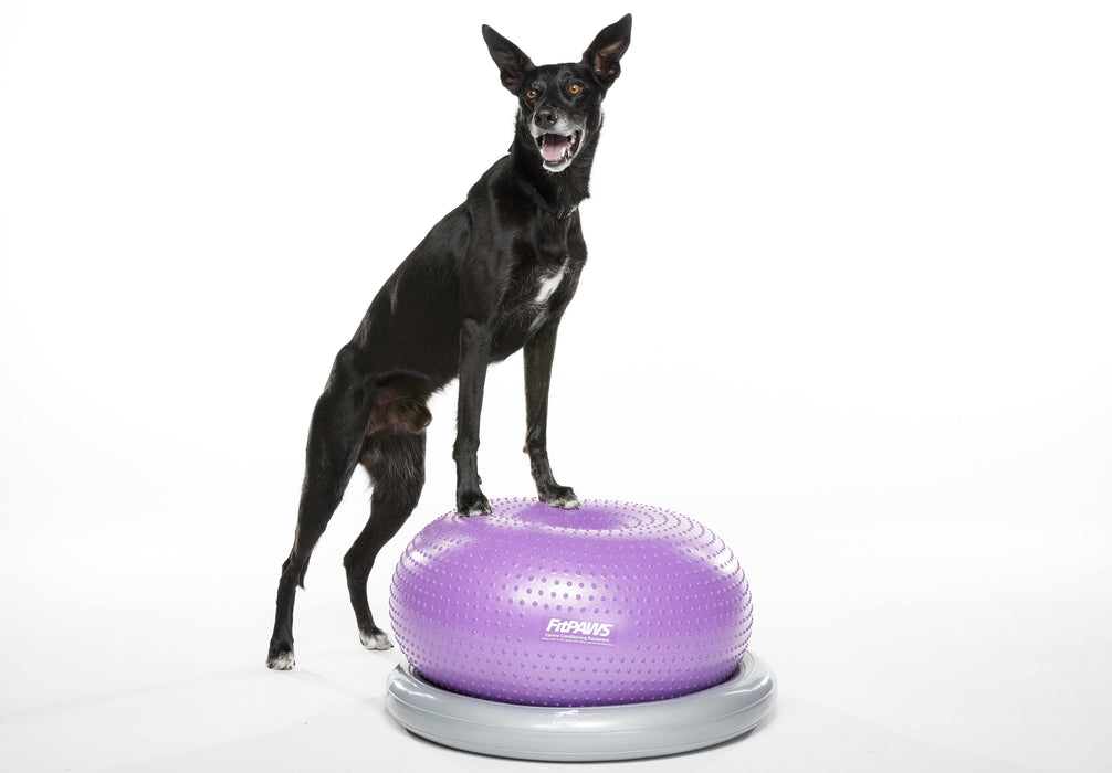 FitPAWS® TRAX Donut, Purple