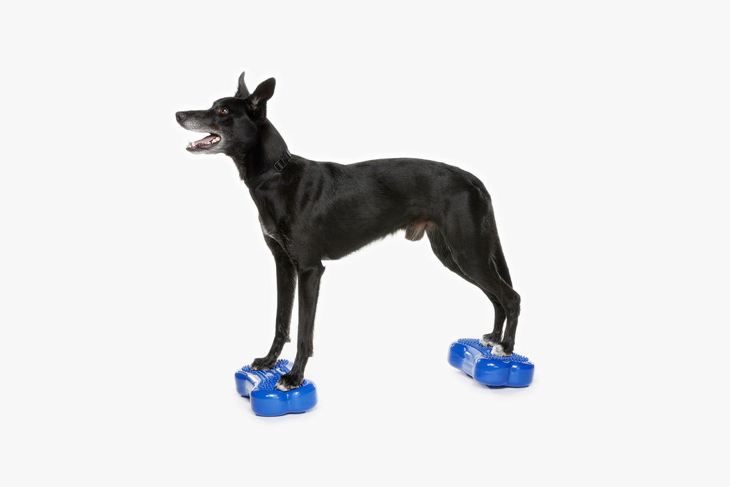 K9FITbone MINI Set of 2