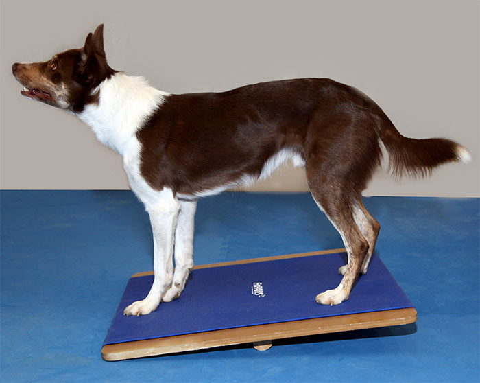 FitPAWS® Giant Rocker Board 30" x 30"