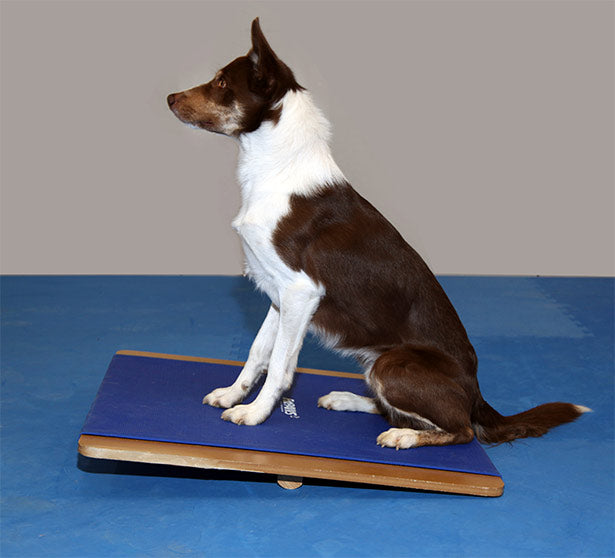 FitPAWS® Giant Rocker Board 30" x 30"