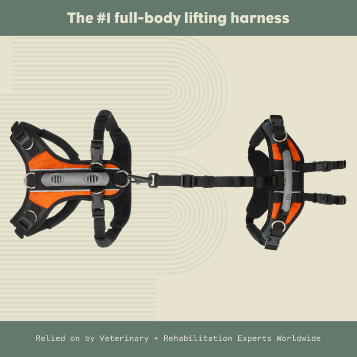 Help 'Em Up - Full Harness