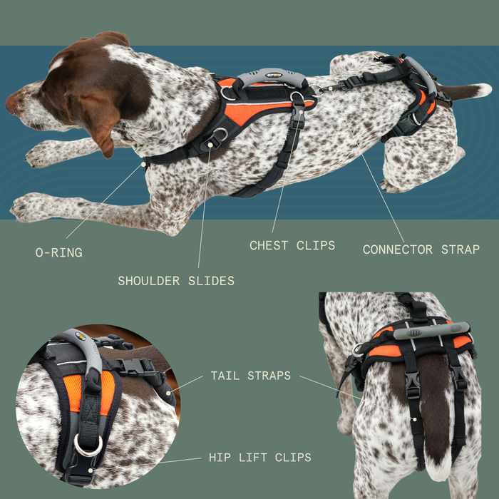 Help 'Em Up - Full Harness