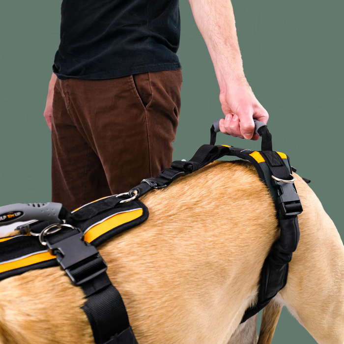 Help 'Em Up - Full Harness