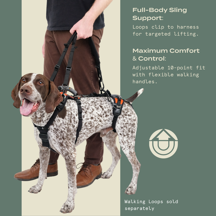 Help 'Em Up - Full Harness