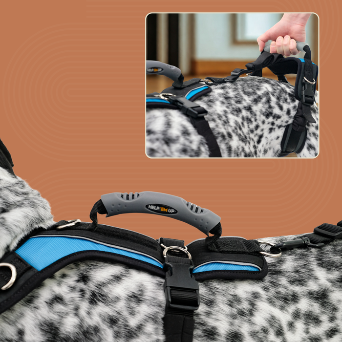 Help 'Em Up - Full Harness