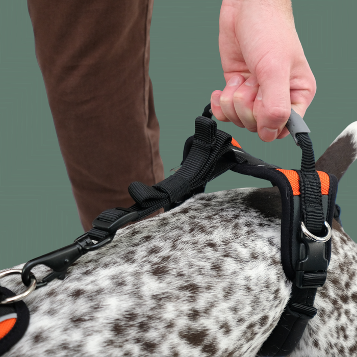 Help 'Em Up - Full Harness