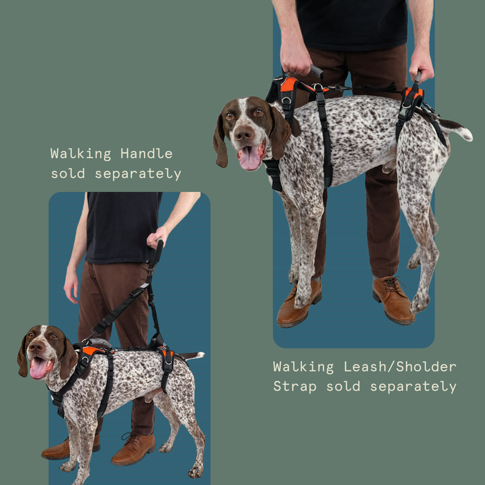 Help 'Em Up - Full Harness