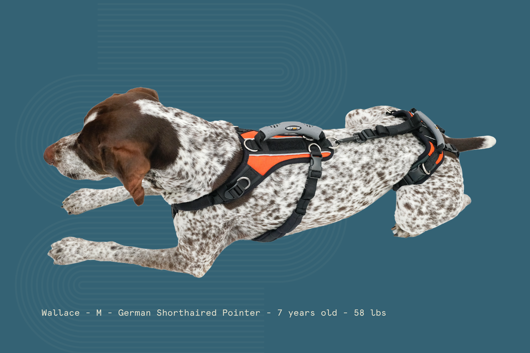 Help 'Em Up - Full Harness
