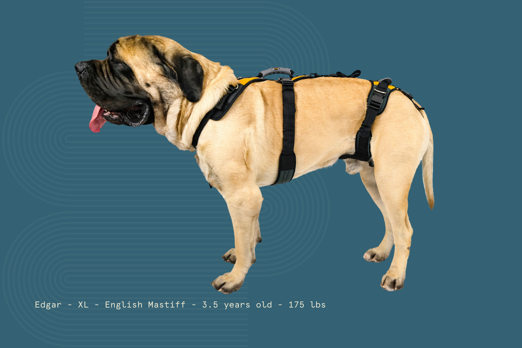 Help 'Em Up - Full Harness