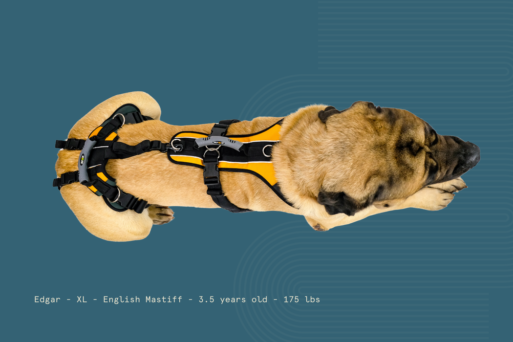 Help 'Em Up - Full Harness