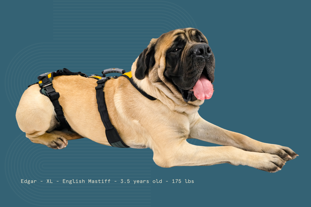 Help 'Em Up - Full Harness