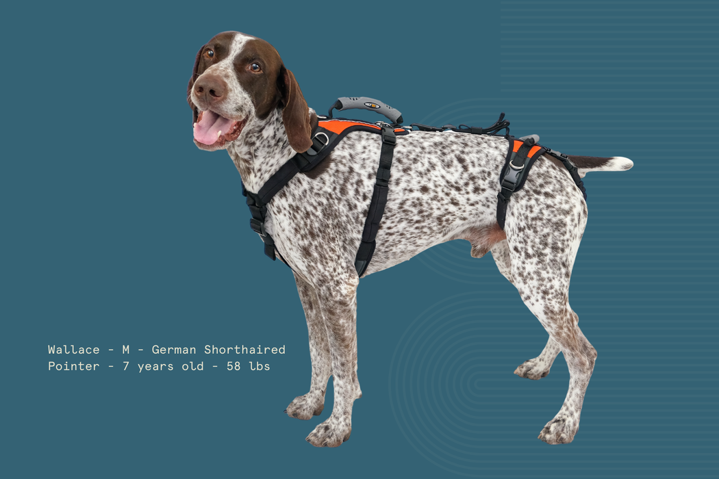 Help 'Em Up - Full Harness