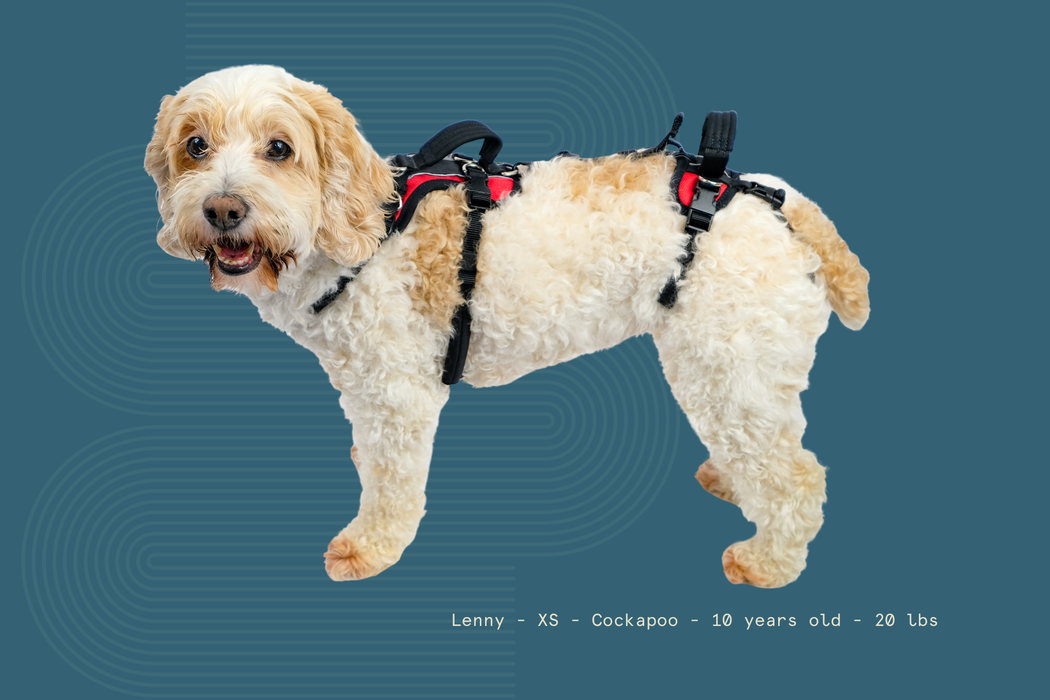 Help 'Em Up - Full Harness