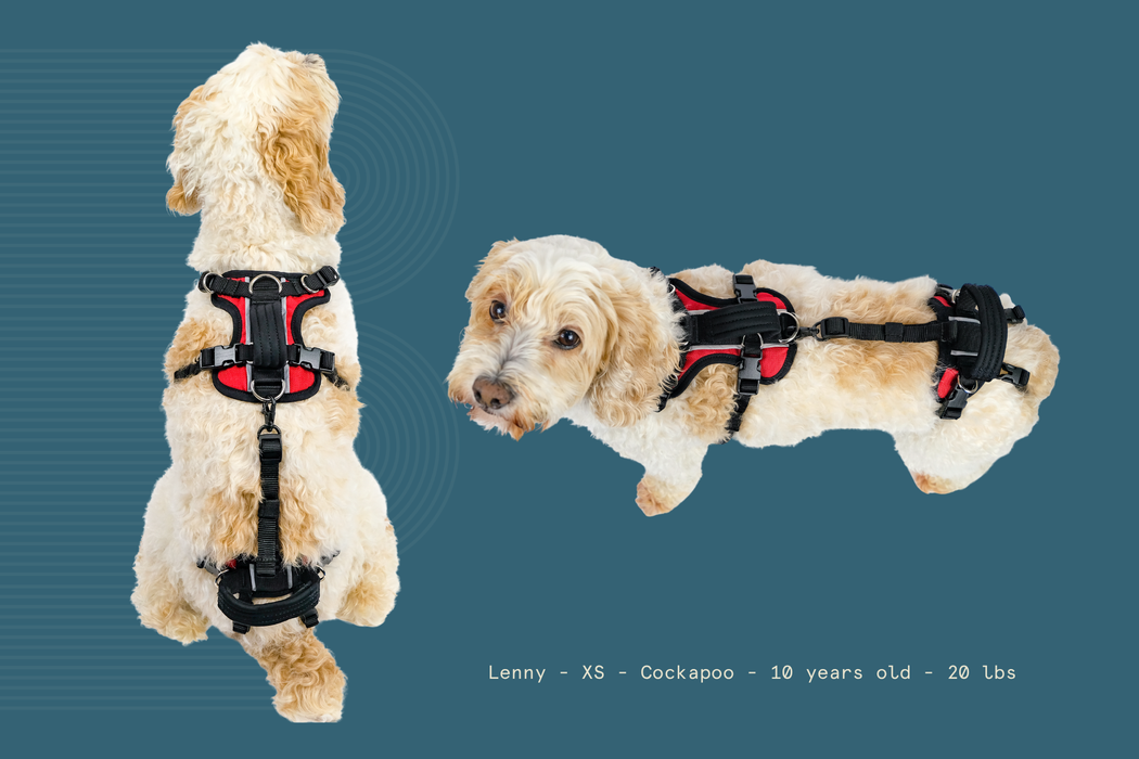 Help 'Em Up - Full Harness