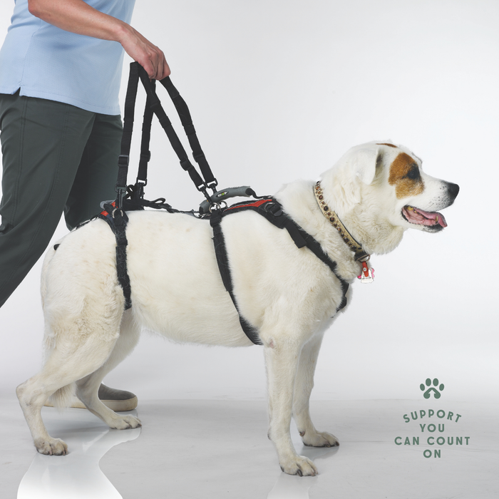 HEU - Walking Loop Handles