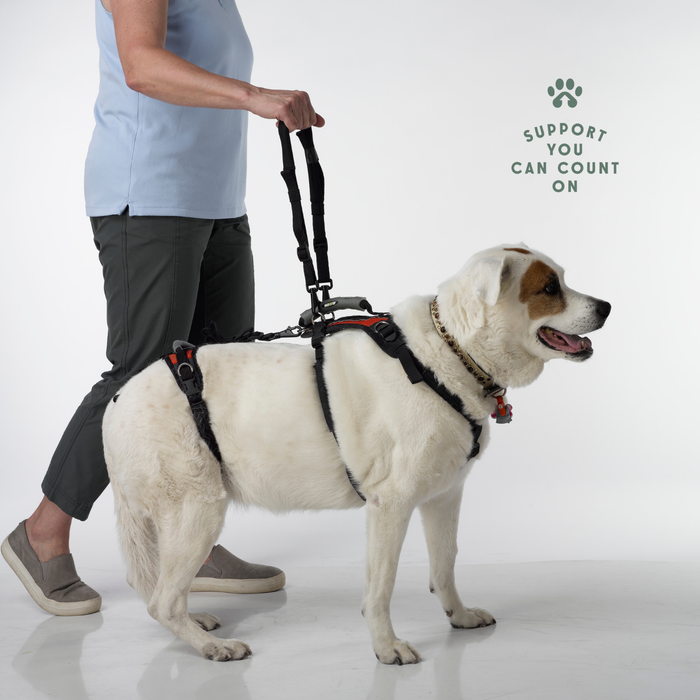 HEU - Walking Loop Handles