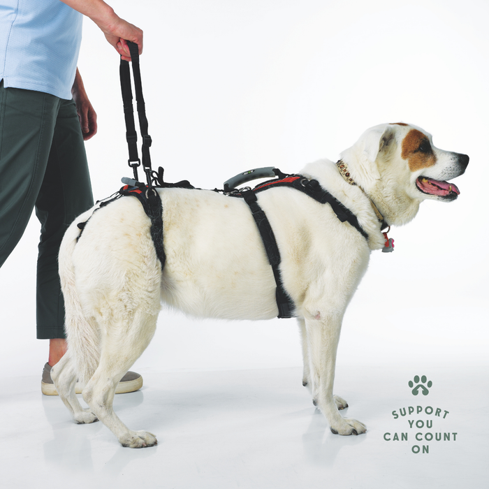 HEU - Walking Loop Handles